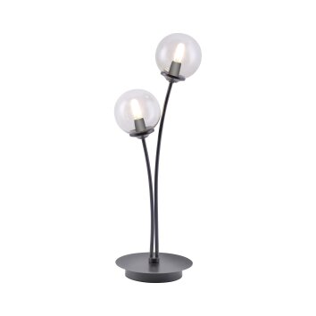 Lampe de table Paul Neuhaus WIDOW LED Nickel mat, Noir, 2 lumières