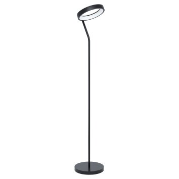 Lampadaire Eglo MARGHERA LED Noir, 1 lumière, Changeur de couleurs