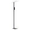 Lampadaire Eglo BUDENSEA LED Noir, Blanc, 2 lumières