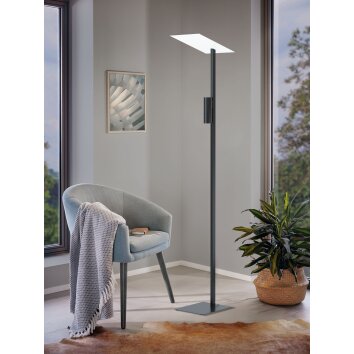 Lampadaire Eglo BUDENSEA LED Noir, Blanc, 2 lumières