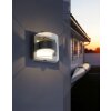 Applique murale d'extérieur Lutec DELTA LED Anthracite, 1 lumière