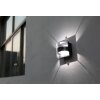 Applique murale d'extérieur Lutec DELTA LED Anthracite, 1 lumière