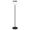 Lampadaire Eglo BRIAGLIA LED Noir, 1 lumière, Changeur de couleurs