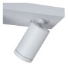 Spot de plafond Lucide TAYLOR LED Blanc, 2 lumières