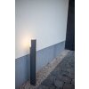 Borne lumineuse Lutec Cyra LED Anthracite, 1 lumière