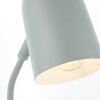 Lampe de table Brilliant Tong Vert, 1 lumière