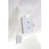 Spot plafond Guyana LED Chrome, Blanc, 2 lumières