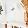 Lampe de table Gilsbro Blanc, 1 lumière