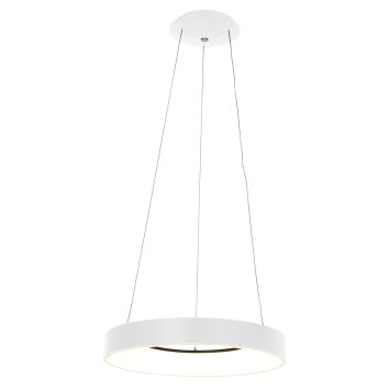 Suspension Steinhauer Ringlede Blanc, 1 lumière