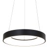 Suspension Steinhauer Ringlede Noir, Blanc, 1 lumière