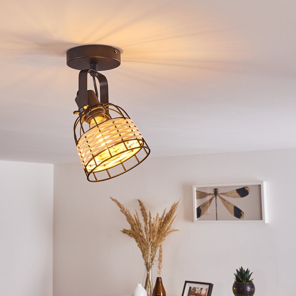 Plafonnier Recinto Noir, 1 lumière main product photo