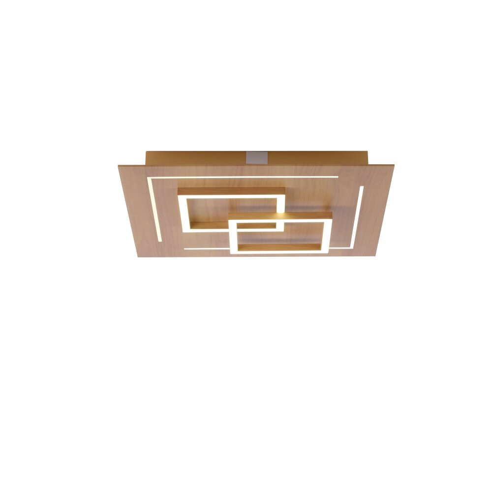 Plafonnier Paul Neuhaus Q-LINEA LED Bois clair, 4 lumières, Télécommandes main product photo