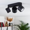 Plafonnier Appleton LED Noir, 3 lumières