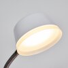 Lampe de table Pineda LED Chrome, Blanc, 1 lumière
