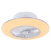 Ventilateur de plafond Globo KELLO LED Blanc, 1 lumière