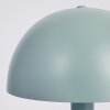 Lampe de table Tom Kings Vert, Blanc, 1 lumière