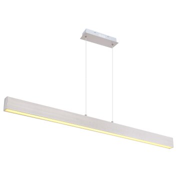 Suspension Globo VERENA LED Nickel mat, 1 lumière