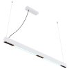 Suspension Globo HODARI LED Blanc, 1 lumière, Télécommandes, Changeur de couleurs