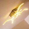 Plafonnier Mapleton LED Nickel mat, 4 lumières