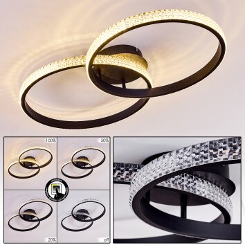 Plafonnier Melosa LED Noir, Blanc, 1 lumière