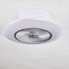 Ventilateur de plafond Nagoya LED Blanc, 1 lumière, Télécommandes