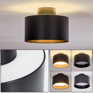 Plafonnier Baraboo LED Noir, 1 lumière