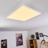 Plafonnier Buenaventura LED Blanc, 1 lumière, Télécommandes