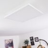 Plafonnier Buenaventura LED Blanc, 1 lumière, Télécommandes