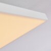 Plafonnier Cor LED Blanc, 1 lumière, Télécommandes