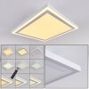 Plafonnier Salamo LED Blanc, 2 lumières