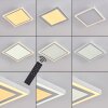 Plafonnier Salamo LED Blanc, 2 lumières