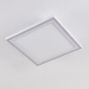 Plafonnier Salamo LED Blanc, 2 lumières, Télécommandes