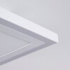 Plafonnier Salamo LED Blanc, 2 lumières