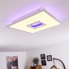 Plafonnier Turbalá LED Blanc, 2 lumières, Télécommandes, Changeur de couleurs