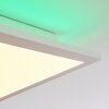 Plafonnier Turbalá LED Blanc, 2 lumières, Télécommandes, Changeur de couleurs