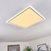 Plafonnier Salamo LED Blanc, 2 lumières, Télécommandes