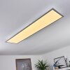 Plafonnier Nexo LED Blanc, 1 lumière