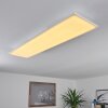 Plafonnier Salamo LED Blanc, 1 lumière, Télécommandes