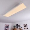 Plafonnier Buenaventura LED Blanc, 1 lumière, Télécommandes