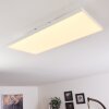 Plafonnier Buenaventura LED Blanc, 1 lumière, Télécommandes