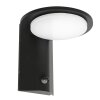 Applique murale d'extérieur Steinhauer Luzon LED Noir, 1 lumière