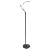 Lampadaire Steinhauer Zodiac LED Noir, 2 lumières