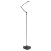 Lampadaire Steinhauer Zodiac LED Noir, 2 lumières