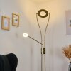 Lampadaire Tierz LED Laiton, 2 lumières