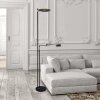 Lampadaire Steinhauer Turound LED Noir, 2 lumières