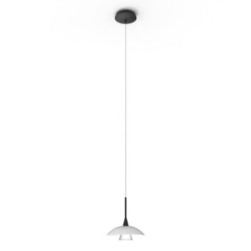 Suspension Steinhauer Tallerken LED Noir, 1 lumière