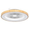 Ventilateur de plafond Mantra TIBET LED Bois foncé, Blanc, 1 lumière, Télécommandes