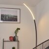 Lampadaire Tobillos LED Noir, 1 lumière