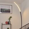 Lampadaire Tobillos LED Noir, 1 lumière