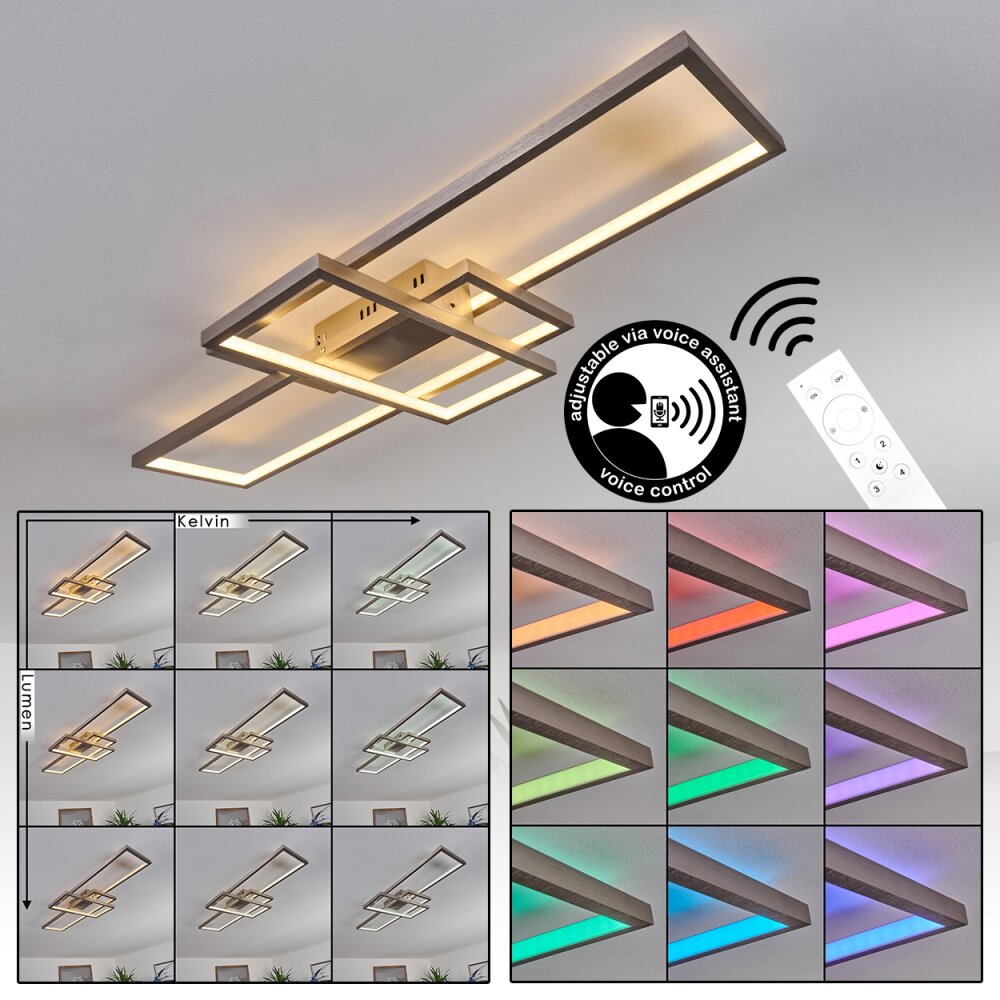 Plafonnier Momahaki LED Nickel mat, 1 lumière, Télécommandes main product photo